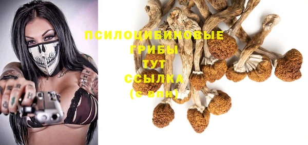 мяу мяу мука Балабаново