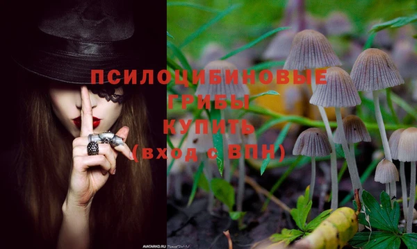 мяу мяу мука Балабаново