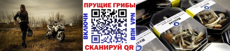 Псилоцибиновые грибы ЛСД  OMG ТОР  Торжок 