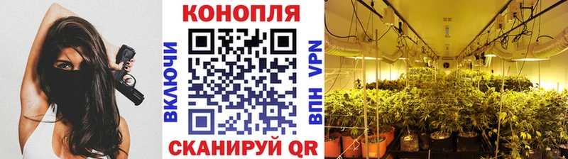 купить наркотик Торжок Конопля AK-47
